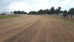 La piste de l'Hippodrome de la Côte d'Azur après trois mois sans arrosage.